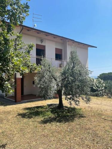 NONNO GHIGO HOUSE – Photos 2