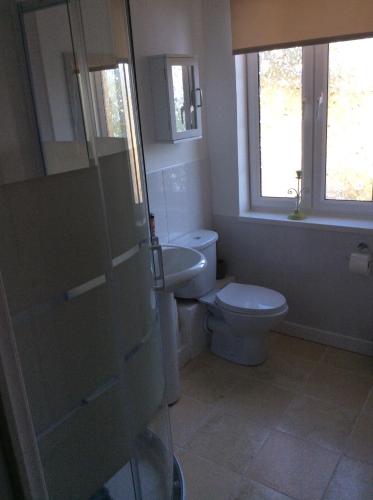 La salle de bains est pourvue de toilettes et d'un lavabo. dans l'établissement Maison Les Berrys, à Bourganeuf