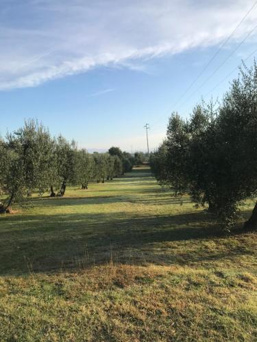 NONNO GHIGO HOUSE – Photos 4