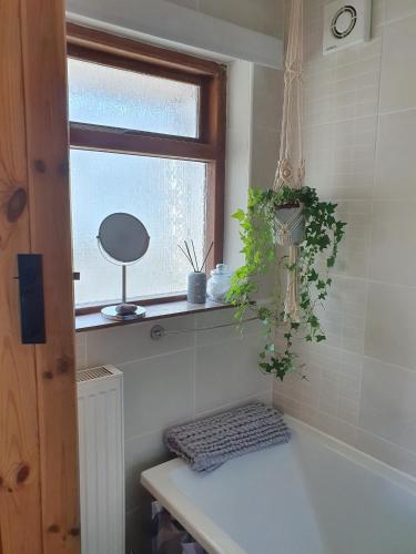 a bathroom with a window and a plant on a shelf at Wales' Highest Village - The Chartist Cottage - Trefil in Tredegar