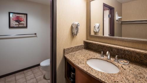 La salle de bains est pourvue d'un lavabo, d'un miroir et de toilettes. dans l'établissement Apple Tree Inn; SureStay Collection by Best Western, à Petoskey