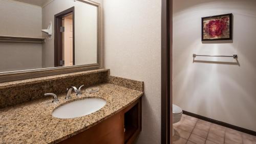 a bathroom with a sink and a mirror and a toilet at Apple Tree Inn; SureStay Collection by Best Western in Petoskey