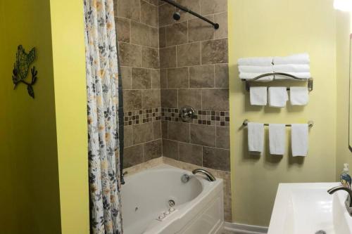 Vannituba majutusasutuses Spacious Unit with Mountain View