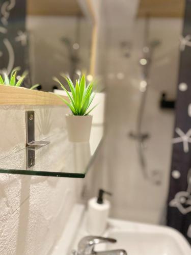 a bathroom with a sink and a potted plant on the counter at Ferienwohnung mit Sauna am Wald - Eifel in Kommern