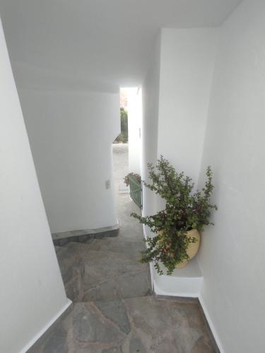 a hallway with a potted plant on the floor at House Moschα in Andros