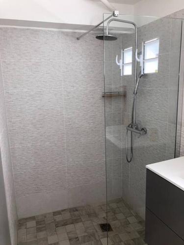 prysznic ze szklanymi drzwiami w łazience w obiekcie L'oranger paisible- T2 Bas de villa w mieście Sainte-Anne