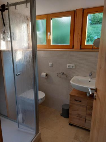 a bathroom with a shower and a toilet and a sink at Nurdachhaus am Geyersberg in Freyung
