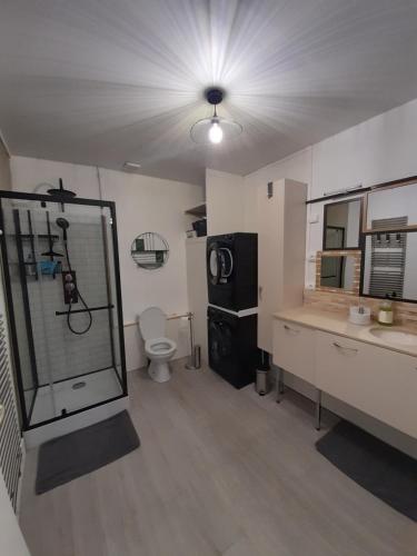 Zimmer mit einem Bad mit WC und Waschbecken in der Unterkunft Le Séverin : Appartement lumineux et chaleureux in Crécy-en-Ponthieu