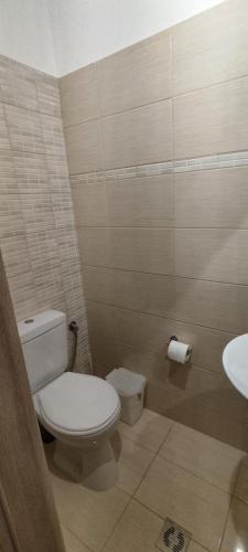 a bathroom with a toilet and a sink at Meteora Mandras House in Kalabaka