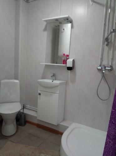 a bathroom with a toilet and a sink and a shower at TäheMaja6 in Viljandi
