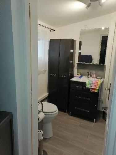 une salle de bain avec toilettes, lavabo et miroir dans l'établissement Maison villers sur mer 4 ou 6 PERSONNES, 2 CHAMBRES, PARKING GRATUIT, entre Deauville et Houlgate, RESERVATION UNIQUEMENT du samedi au samedi 7 nuits minimum CHEQUE de CAUTION DEMANDÉ, menage NON INCLUS, PETIT CHIEN ACCEPTÉ SAUF DANS LES CHAMBRES, à Villers-sur-Mer