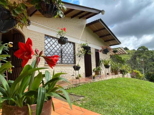 a house with flowers and plants in the yard at Hermosa finca villajovi con piscina privada in Cali