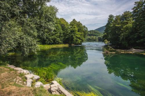 a river with trees on the side of it at Lohovo Villa Bukva in Otoka
