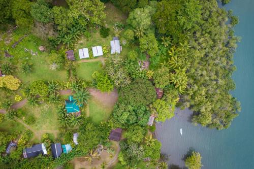 una vista aérea de un bosque y un río en El Chontal, en Rincón