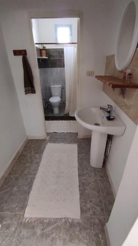 a bathroom with a sink and a toilet at Charmant logement avec jardin en permaculture in Chebba