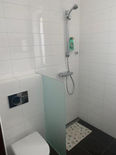 a bathroom with a shower with a toilet and a sink at Ubytovanie u martina in Slovenský Grob