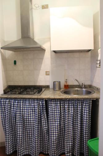 Il comprend une cuisine équipée d'un évier et d'une cuisinière. dans l'établissement Casa Ela, à Serra San Bruno