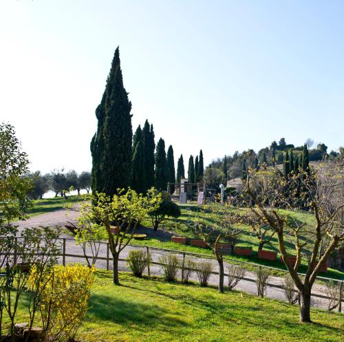 Agriturismo Torre Burchio – Photos 3