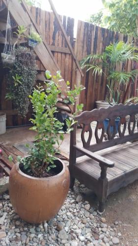 Ein Garten an der Unterkunft Casa de Kai Mazunte