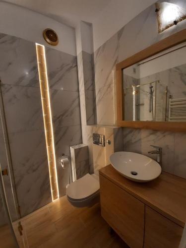 łazienka z umywalką, toaletą i lustrem w obiekcie Apartament Kaszownik w Toruniu