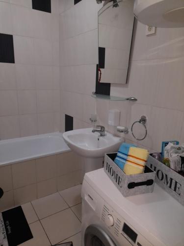 Un baño con lavadora y lavabo. en Apartman Aurora, en Novi Sad