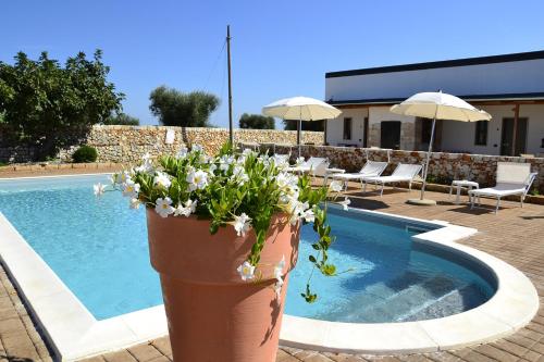 Πισίνα στο ή κοντά στο Agriturismo Masseria Alberotanza