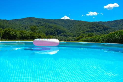 a swimming pool with a pink raft in the water at Drinska kućica in Ljubovija