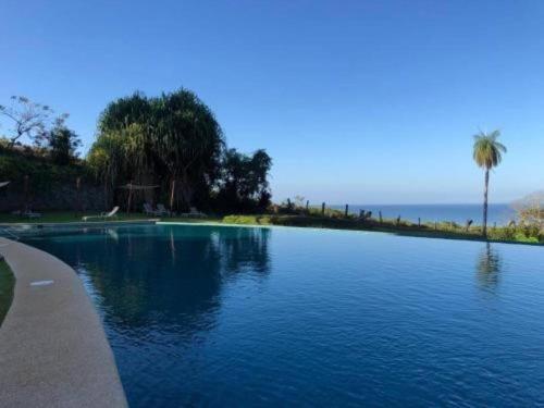 a swimming pool with a palm tree and the ocean at Jaco Carara Nativa Garden Suite ELEGANTE&EXCLISIVO in Puntarenas