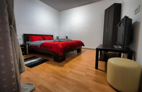 - une chambre avec un lit doté d'oreillers rouges et une télévision dans l'établissement Casa La Dăvrei, à Babadau