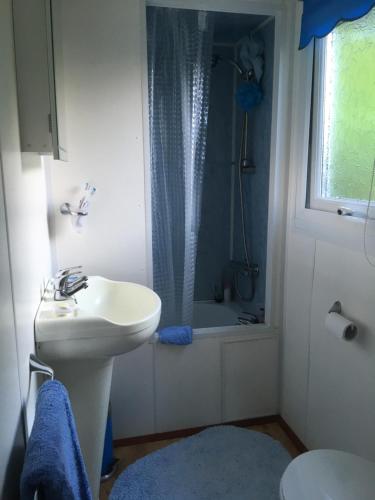 uma pequena casa de banho com um lavatório e um chuveiro em Bazanmoes Shed No: 49 em Aberystwyth