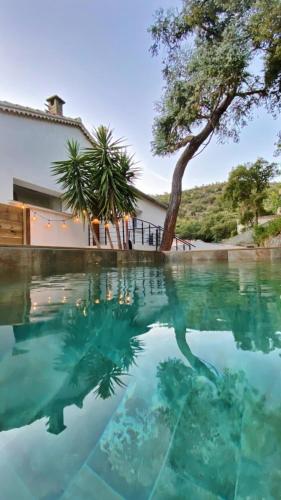 une piscine d'eau avec un arbre et un bâtiment dans l'établissement La dolce Giulia, à Hyères