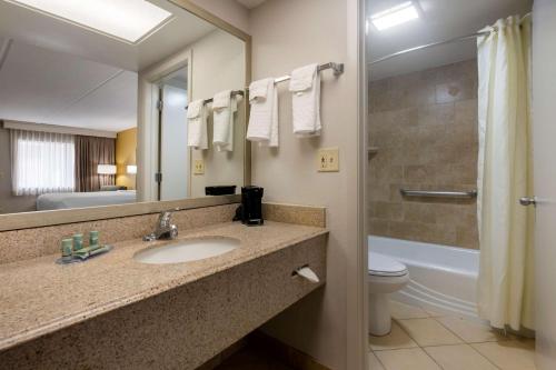 a bathroom with a sink and a toilet and a mirror at Best Western Inn Of Palatka in East Palatka