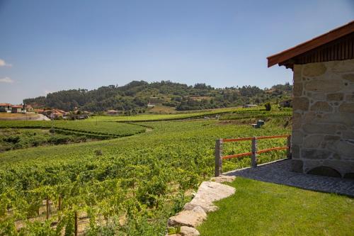 a stone building next to a field of vines at The FarmHouse II - Uma quinta deslumbrante in Felgueiras