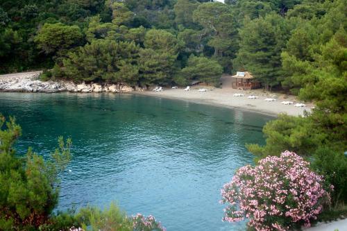 a body of water with a beach and trees at Apartments by the sea Cove Blaca, Mljet - 4899 in Saplunara