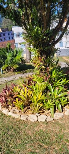 Zahrada ubytování Pousada Valparaiso