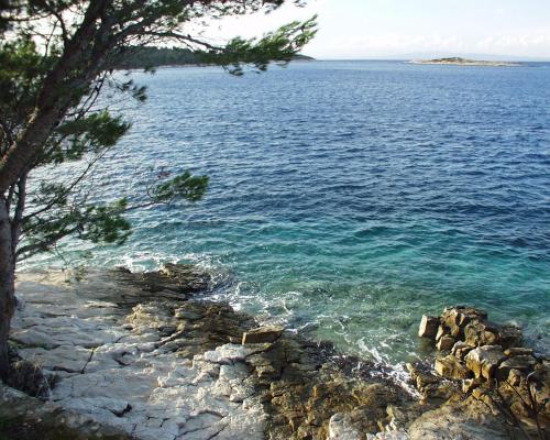 a view of the ocean from a rocky shore at Rooms by the sea Pomena, Mljet - 4929 in Pomena