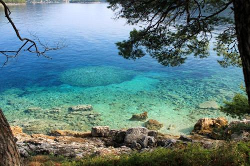 Φυσικό τοπίο κοντά σε αυτό το διαμέρισμα