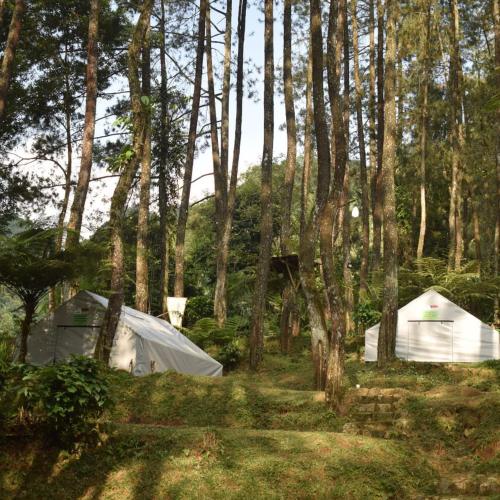 Φωτογραφία από το άλμπουμ του Kampung Rimba by Anrha σε Μπογκόρ