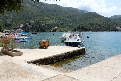 a boat is docked at a dock in the water at Double Room Zaton Mali 8997a in Zaton