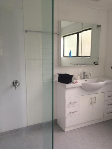 La salle de bains est pourvue d'un lavabo et d'une douche en verre. dans l'établissement Tekoa Lodge Raurimu, à Raurimu Spiral