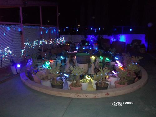 Φωτογραφία από το άλμπουμ του Safari Motor Inn - Joshua Tree σε Joshua Tree