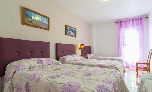 a hotel room with four beds in a room at Hostal Rural Alba in Los Albaricoques