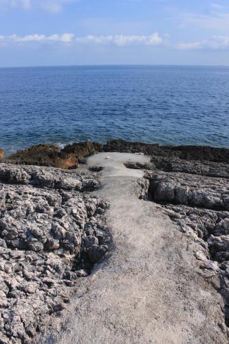 a rocky shore with the ocean in the background at Apartments by the sea Zavalatica, Korcula - 247 in Zavalatica