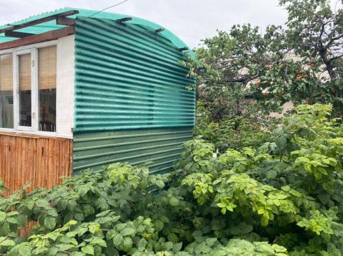 a house with a green wall and some bushes at Nurgul in Bokonbayevo