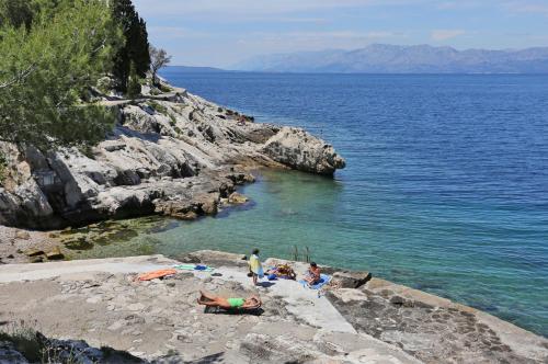 Fotografia z galérie ubytovania Apartments with a parking space Trpanj, Peljesac - 15710 v destinácii Trpanj