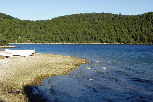Fotografia z galérie ubytovania Apartments by the sea Polace, Mljet - 16296 v destinácii Goveđari
