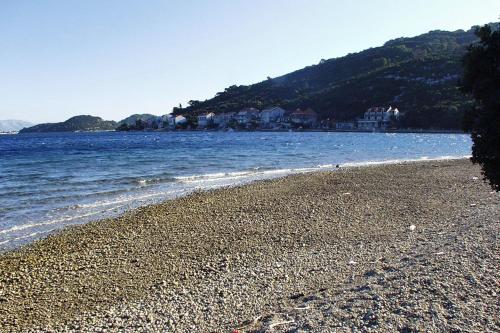 Fotografia z galérie ubytovania Apartments by the sea Polace, Mljet - 16296 v destinácii Goveđari