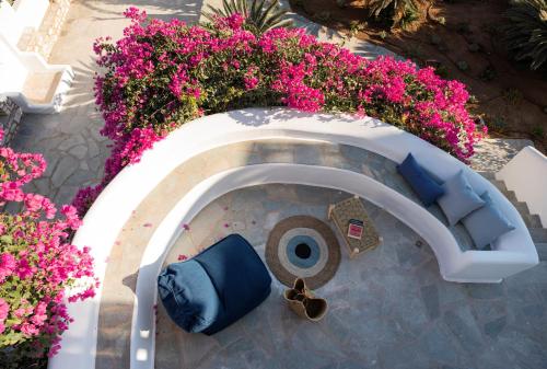 an overhead view of a garden with pink flowers at KAMEO, Antiparos in Andiparos