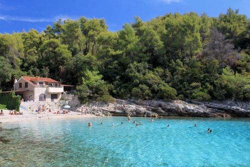 a group of people in the water at a beach at Apartments with a parking space Zavalatica, Korcula - 4420 in Zavalatica