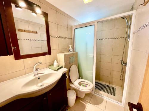 un bagno con lavandino, WC e doccia di OASIS GARDEN a Eilat